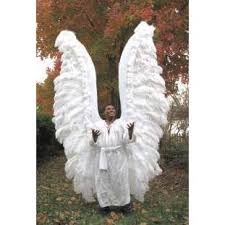 Black Angel Wings Costume Costume Feather Angel Wings For Adults And Children Made By Dragon Wings Costume Accessories Feather Angel Wings Wings Costume Angel Costume