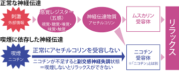 においマネジメント【その8】たばこをやめられない脳の仕組み | 月刊総務オンライン