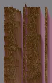 Image result for Nolletia zambesica