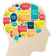 How to use the vocabulary flash cards. Fluent Forever Book The Gallery