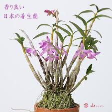 Yahoo!ショッピング - Yahoo! JAPAN