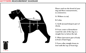 Measurement Size Guide Kittydog