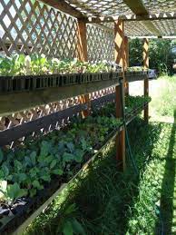 Ideas For Attractive Shade Tunnels For Veggie Patch In South African Garden Garden Design Vegetable Garden Design Shade Garden