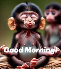 Dora Brock (brockdora79)