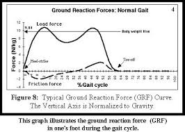 Gait Analysis Normal Gait Cycle Cycle Analysis Biomechanics