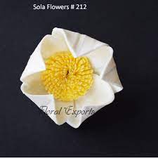 We did not find results for: Sola Wood Flowers I Sola Flowers I Manufacturer I Wholesaler I Exporters