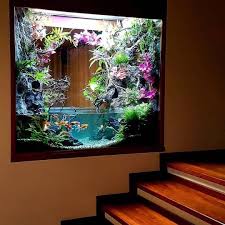 Dubai Aquascape On Instagram Very Cool Paludarium A Perfect Placement For This Beauty All Cr Wall Aquarium Fish Tank Wall Aquarium