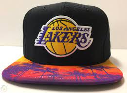 Los Angeles Lakers La Mitchell Ness Snapback Hat Palm Trees Cap 2002262518