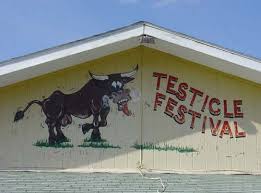 Image result for testicle festival montana ads
