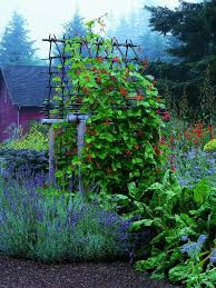 Arbor Nancy Heckler S Hood Canal Garden From Zahid Sardar Marion Brenner S New Garden Design Garden Design Backyard Landscaping Designs Backyard Landscaping