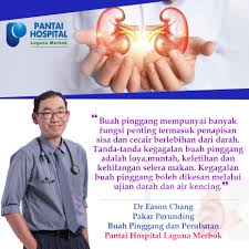 Pantai laguna kalianda adalah salah satu pantai dengan hamparan pasir putih yang menawan dengan dihiasi bebatuan karang yang mempercantik landscape di pantai ini. Berikut Adalah Fakta Kesihatan Yang Pantai Hospital Laguna Merbok Phlm Facebook