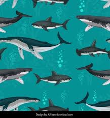 This is a fine art giclée print made from my original watercolor painting titled stars collide. Whale Shark Vector Free Vector Download 415 Free Vector For Commercial Use Format Ai Eps Cdr Svg Vector Illustration Graphic Art Design