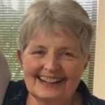 Linda L. Liddle Obituary (2024)