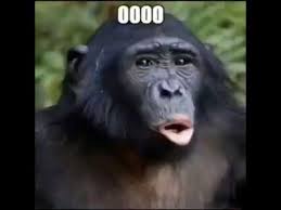 My Life Be Like Ooh Aah Monke Meme Youtube