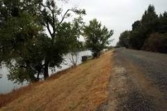 Image result