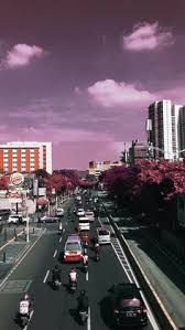  28 Ide Aesthetic Gambar Mawar Latar Belakang Bunga Fotografi