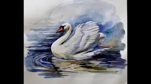 Water Color Painting Swan Youtube Swan Painting Painting Art
