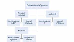 Gbs can cause symptoms that. Krankheitsbild Guillain Barre Syndrom Quellenhof Wildbad Sana Kliniken Ag