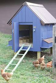 Pin On Chicken Recipes