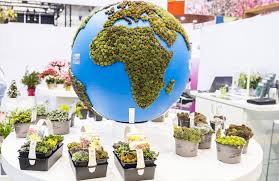 Cosa c'è davvero per la transizione ecologica. A Ipm Essen Riflettori Sulle Piante Per Il Clima E La Francia Floraviva