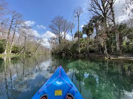 Kayaking Silver Springs An Adventure You Won T Forget South Florida And Beyond Off The Beaten Track