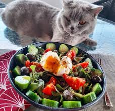 Darwin In Salatamda Gozu Kaldi Bence Ama Koklayinca Fikri Degisti Gidip Oglen Uykusuna Yatayim Modunda Kah Superhero Memes Cool Baby Stuff Funny Cat Memes