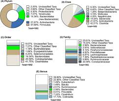 Image result for Bacteroidaceae