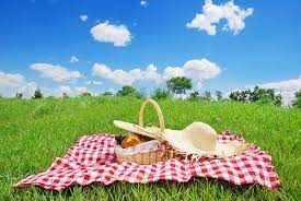 A lot of individuals admittedly had a hard t. What Are The 3 Favorite Picnic Foods Impossible Trivia