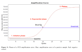 Real Time Pcr Quantification Analysis