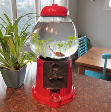 We did not find results for: Gumball Machine Fish Tank 4 Steps With Pictures Instructables