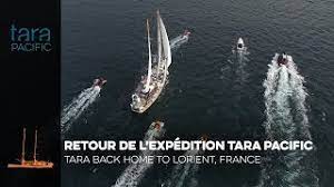 Busty milf tara holiday was banged hard by her stepson in the bed. 2016 2018 Tara Pacific En Explore To Understand Share To Bring About Change