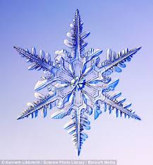 Disappointed You Didn T Get A White Christmas Here S A Chance To Take A Very Close Look At Snow Snowflake Photos Snowflake Images Snowflakes