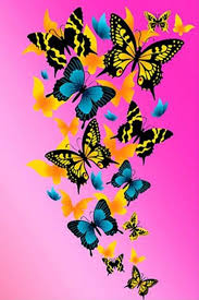 A Group Of Colored Butterflies Butterfly Background Butterfly Art Butterfly Wallpaper Free for commercial use no attribution required high quality images. butterfly wallpaper
