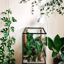 Will lamp light help plants grow. Grow Lights As Recommended By House Plant Enthusiasts Green Rooms Market