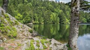 Lac d europe a été trouvée dans notre référentiel de plusieurs milliers de solutions. Lac De L Altenweiher Mittlach Visit Alsace