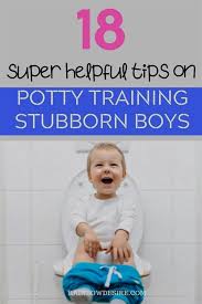 Puppy Training Farnham Puppy Training Waist Bag Dog Training 4 Quadrants Puppy T In 2020 Boy Potty Training Tips Starting Potty Training Potty Training Schedule