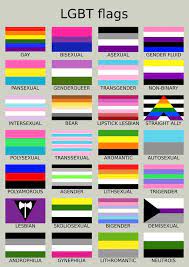 Tenemos variedad de diseños, estampados y colores. Descubre Cual Es Tu Bandera Lgtbi Y Que Representa Shangayshangay