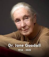 LMH visits the resting place of Helene Winston, the Canadian actress best  known for her role as Gladys King