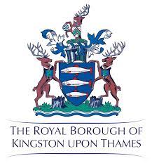 Philippa Leary Kingston Digital Health Co Ordinator Kingston Voluntary Action Linkedin