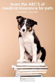 Medical Insurance Is Becoming An Essential Part Of Responsible Pet Ownership However With So Many Types Cheap Pet Insurance Pet Insurance Cost Pet Ownership