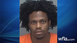 Man arrested after crashing into Pinellas deputy's agency vehicle in  Pinellas Park