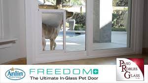 Maybe you would like to learn more about one of these? Paso Robles Glass Anlin Replacement Doors With Pet Doors Facebook