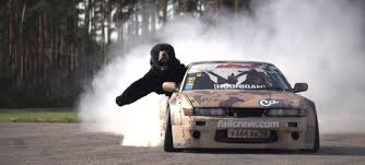 The Most Badass And Bear Filled Drifting Adventure I Ve Ever Seen Drifting Drift Cars Monster Trucks