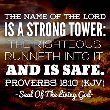 The Name Of The Lord Is A Strong Tower The Righteous Runneth Into It And Is Safe Prove Inspirational Quotes God Inspirational Bible Quotes Bible Knowledge