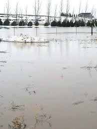 Your pictures of the recent flooding