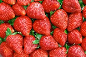 Calcolatore di conversioni da once a grammi ( oz to g ) per conversione di peso con tabelle aggiuntive e formule. Fragola Biologica Ecco I Costi Di Produzione Agronotizie Vivaismo E Sementi