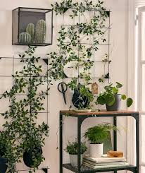 Ikea Ireland On Instagram Feel Nature S Calming Effect Any Time By Inviting The Outside In With Plants And Greenery Fake Plants Decor Plant Decor Ikea Plants