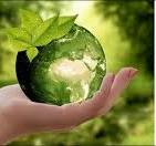 Protection des plantes | wein.plus Lexique