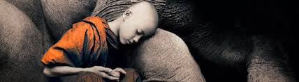 El Enorme Potencial de Controlar tu Mente - El viaje al interior - retiros  de meditación en silencio