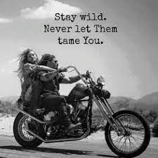 See more ideas about harley davidson, harley davidson quotes, harley. 230 Harley Davidson Quotes Ideas Harley Davidson Harley Davidson Quotes Harley
